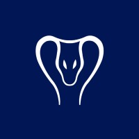 Vasuki Global Tech Fund logo - Similar company to Venturesone (Now Unknown Group)