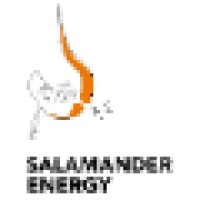 Salamander Energy PLC logo - Similar company to Baito Deling