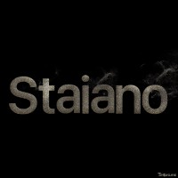 Staiano Research and Consultancy logo - Similar company to Boxout Performance