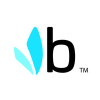 Bumbleride Inc. logo - Similar company to Aot Projects