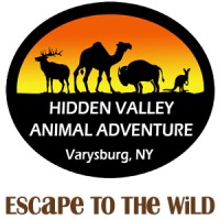 Hidden Valley Animal Adventure logo - Similar company to Delfingen Us Inc.