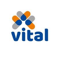 Vital Gestão logo - Similar company to Dashboards Em Excel
