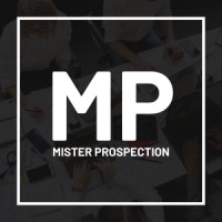 Mister Prospection logo - Similar company to Skill&Co