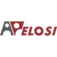 ETABLISSEMENT ARTHUR PELOSI logo - Similar company to Triométal