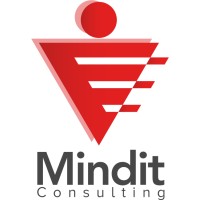 Mindit Consulting logo - Similar company to Mindit.Io