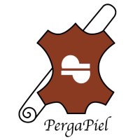 Pergapiel AGP logo - Similar company to Guangzhou Zhijin Electronic Technology Co., Ltd
