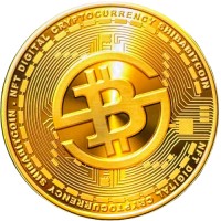 ShibaBitcoin logo - Similar company to Universe Engine