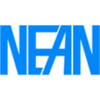 NEAN logo - Similar company to Young & Ambitious