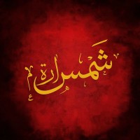 Shamstudio logo - Similar company to Tejaratgram