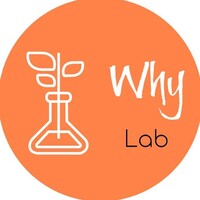WhyLab logo - Similar company to Brainalive Learning Centers