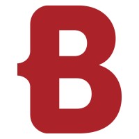 Borm-Informatik AG logo - Similar company to Triviso Ag