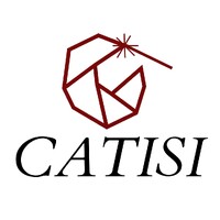 CAPACITACION Y ASESORIA TECNICA E INSPECCION DE SOLDADURA INSDUSTRIAL logo - Similar company to Asp Capacitación Y Consultoría