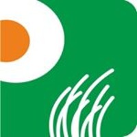 Pinnacle Trades (Pinnacle Brocom Pvt. Ltd., Pinnacle Forex & Securities Pvt. Ltd.) logo - Similar company to Samarth Wealth Management