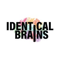 Identical Brains logo - Similar company to Wisecor Services