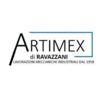 ARTIMEX sas logo - Similar company to Sarabar