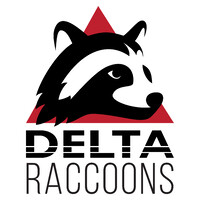 DeltaRaccoons Team OÜ logo - Similar company to Attack Wagon Games