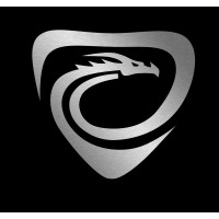 Dragon Security, LLC logo - Similar company to Dragon Security