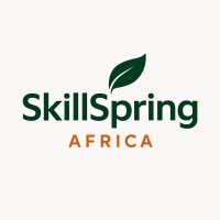 SkillSpring Africa logo - Similar company to Defi Payments Pte Ltd.