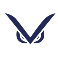 Silver Minds logo - Similar company to Tindala