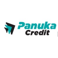 Panuka Collections Agency logo - Similar company to Adnet Communications Limited
