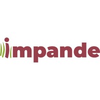 Impande logo - Similar company to Wefeedsa