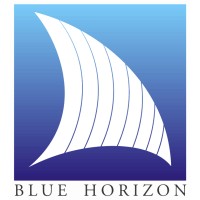 BLUE HORIZON Maldives Pte Ltd logo - Similar company to Icon Group