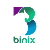 Binix logo - Similar company to Binix It Solutions