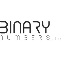 Binary Numbers logo - Similar company to Enpointe Global