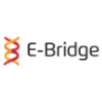 E-Bridge Outsourcing logo - Similar company to Avidity Project