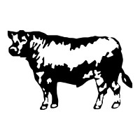 Carnicerias Sonora logo - Similar company to Mega Carnes