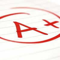 Tutor Me Please logo - Similar company to Reefinity Global