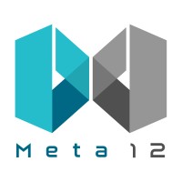 Meta 12