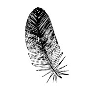 Seventh Generation Fund for Indigenous Peoples logo - Similar company to Shared Waters Lab Partnership