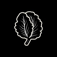 Hasamedia.io logo - Similar company to Insidr App
