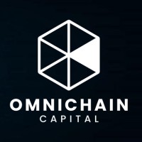 Omnichain Capital logo - Similar company to Solid Silicon