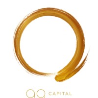 AQ Capital logo - Similar company to Pleblab