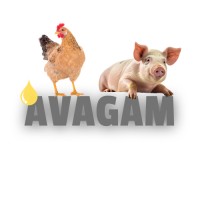 Avagam logo - Similar company to Molkadi