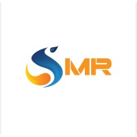 SMART MANAGEMENT RESOURCES logo - Similar company to Wasavé