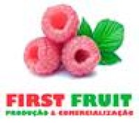 First Fruit logo - Similar company to Frestia