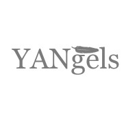YANgels - Yangon Angels Network logo - Similar company to Jinan East Sea Trading Co,.Ltd