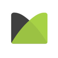 BM IT Solutions logo - Similar company to Intigsol
