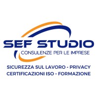 SEF STUDIO logo - Similar company to Cna Arezzo