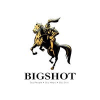 Bigshot Limited logo - Similar company to Northsmen