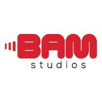 BAM STUDIOS logo - Similar company to Bam