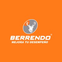 BerrendoTeam logo - Similar company to Riverline Ergonomic