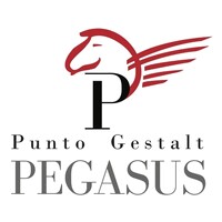 Punto Gestalt Pegasus logo - Similar company to Evidence Based Management Consultancy