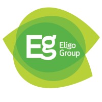 Eligo Group logo - Similar company to Techpro Estimating