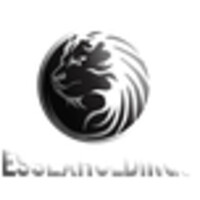 Essex Holdings Ltd logo - Similar company to Floodlight Design