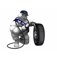 DURSUNLAR OTOMOTİV logo - Similar company to Renitens
