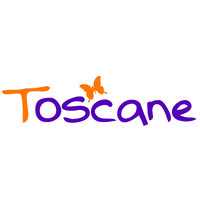 Toscane boutique logo - Similar company to Fidall